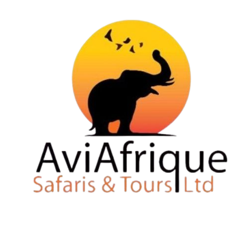 AviAfrique Safaris & Tours